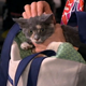 Image for article titled Uh, Mika Literally Pulled a Cat out of a Bag on Morning Joe Yesterday